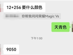 流畅度挑战鸿蒙和iOS！荣耀Magic Vs首销秒没：渠道加价1000元以上