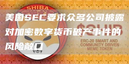 美国SEC要求众多公司披露对加密数字货币破产事件的风险敞口1