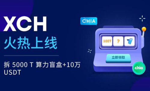 USDT官网下载使用