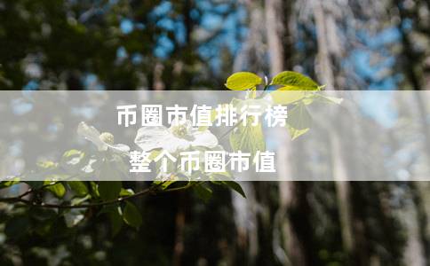 币圈市值排行榜（整个币圈市值）1