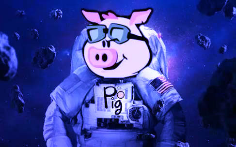 pig币app官方下载-pig币交易所是风向标 v5.4.7.1)-第1张图片-火必下载