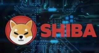 为什么火必下载不了(火必怎么下载不了)