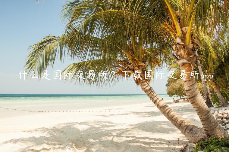 什么是国际交易所?下载国际交易所app-第1张图片-火必下载 什么是国际交易所?下载国际交易所app-第1张图片-火必下载