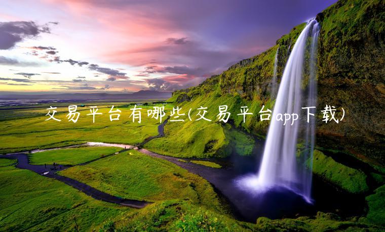 交易平台有哪些(交易平台app下载)-第1张图片-火必下载