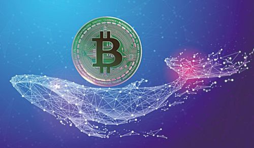 (btc期货交易平台安装)btc虚拟币期货交易APP地址-第1张图片-火必下载