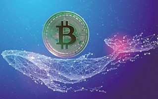 (btc期货交易平台安装)btc虚拟币期货交易APP地址