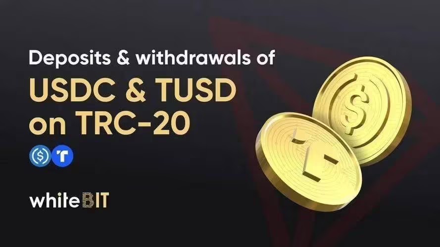 TRC20是哪个链?TRC20转ERC20地址可以到账吗?-第2张图片-火必下载 TRC20是哪个链?TRC20转ERC20地址可以到账吗?-第2张图片-火必下载
