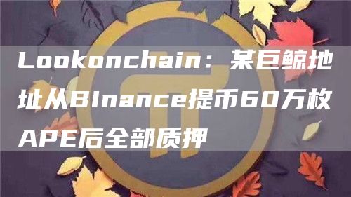 Lookonchain：某巨鲸地址从Binance提币60万枚APE后全部质押1