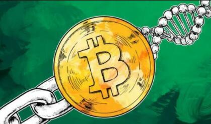 火币平台还能交易吗|正规的虚拟币交易平台-第1张图片-火必下载