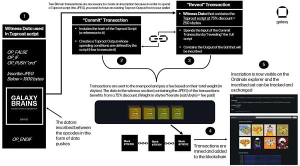 万字报告详解比特币 NFT 及其前景-第5张图片-火必下载