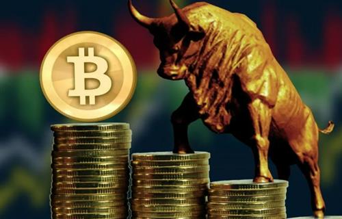 比特币买卖工具有哪些 十大BTC买卖软件汇总-第3张图片-火必下载 比特币买卖工具有哪些 十大BTC买卖软件汇总-第3张图片-火必下载