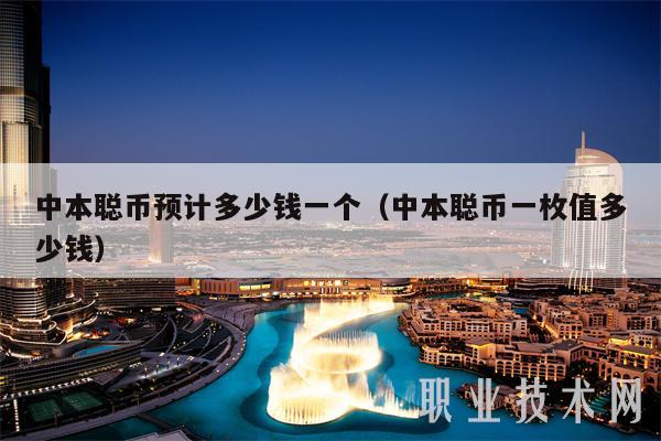 中本聪币预计多少钱一个（中本聪币一枚值多少钱）-第1张图片-火必下载