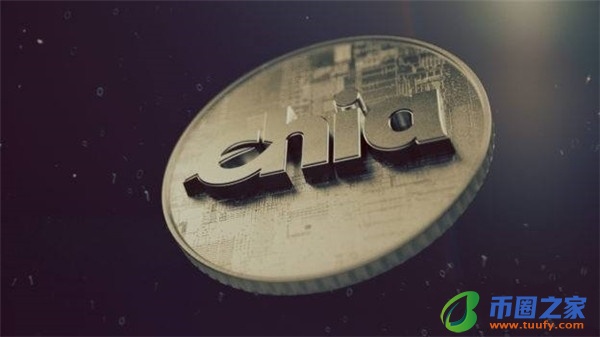 派币它真的值超过 300,000 美元吗？-第1张图片-火必下载