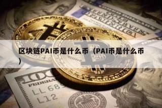 区块链PAI币是什么币（PAI币是什么币）