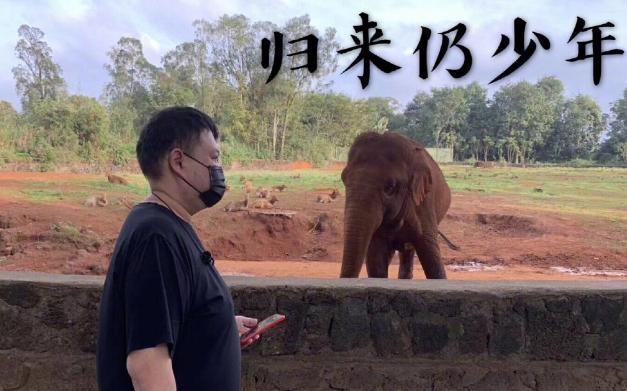 大象传媒软件下载（大象传媒软件下载苹果版）-第3张图片-火必下载