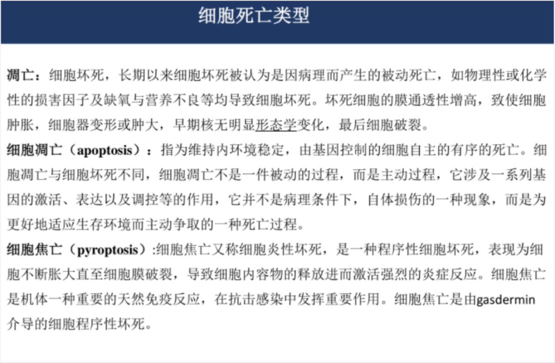 关于基金的ppt课件（关于基金的ppt课件下载）-第3张图片-火必下载