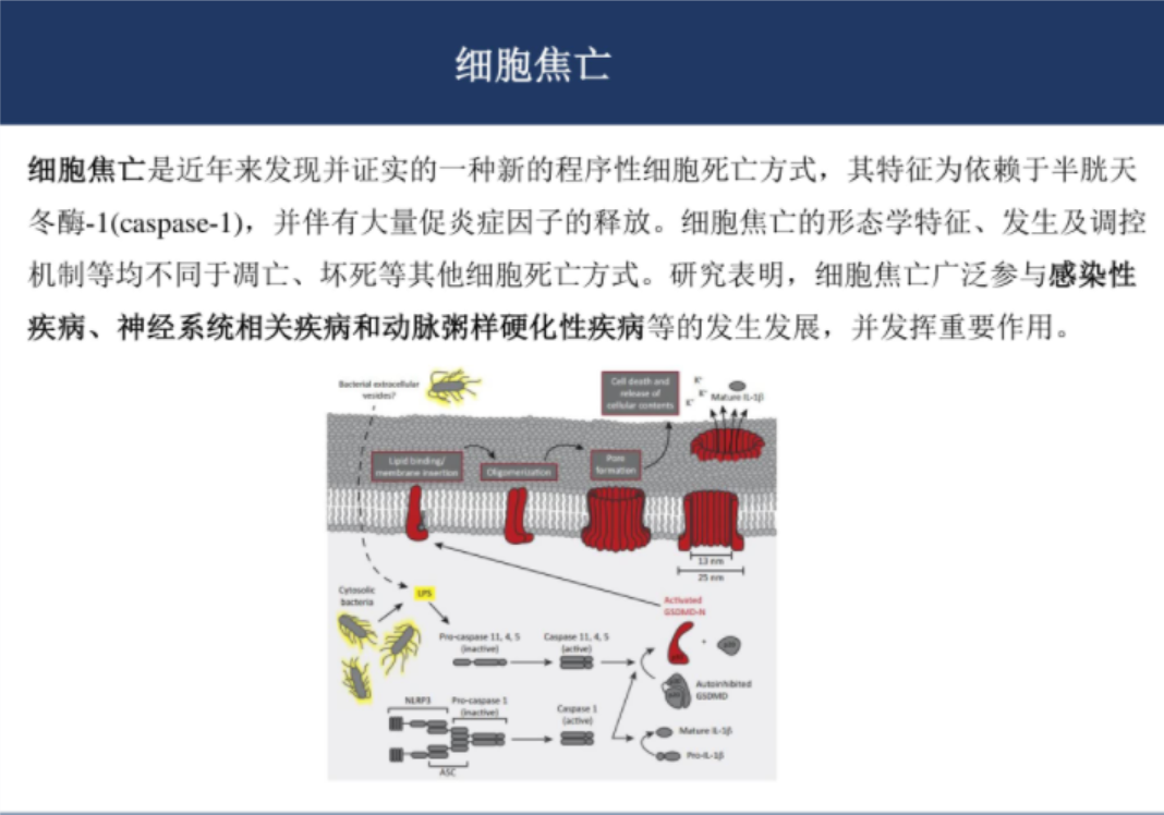 关于基金的ppt课件（关于基金的ppt课件下载）-第4张图片-火必下载