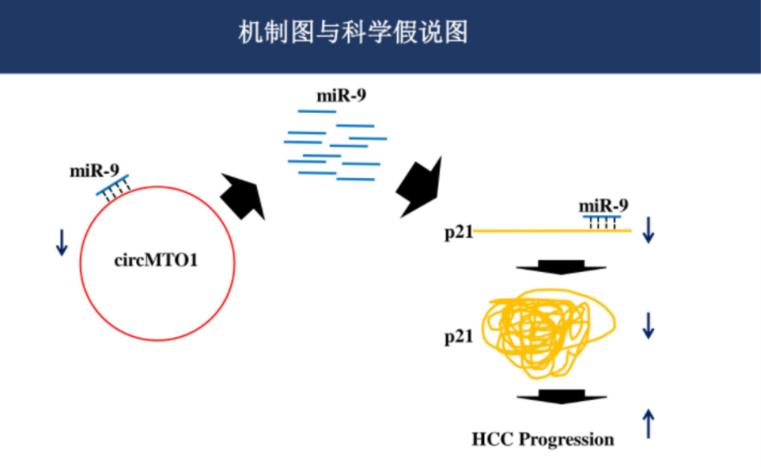关于基金的ppt课件（关于基金的ppt课件下载）-第5张图片-火必下载