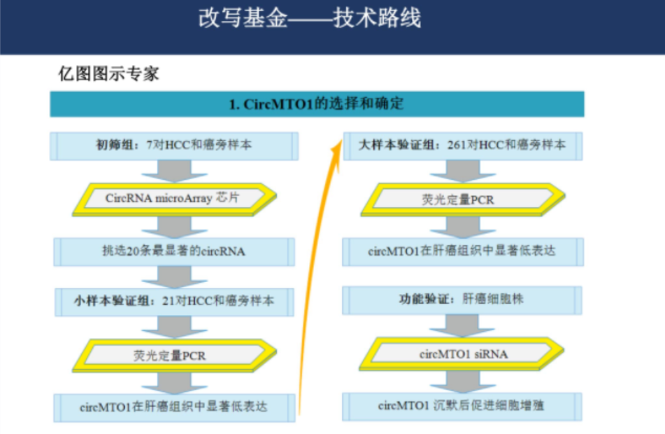 关于基金的ppt课件（关于基金的ppt课件下载）-第6张图片-火必下载