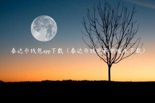 泰达币钱包app下载（泰达币钱包最新版本下载）