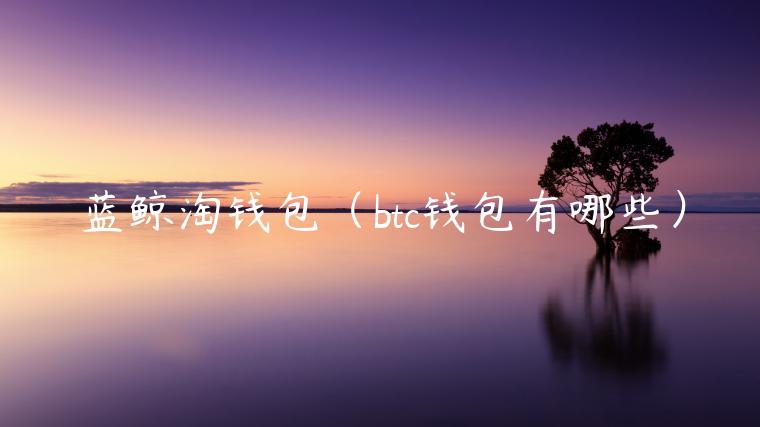 蓝鲸淘钱包（btc钱包有哪些）-第1张图片-火必下载