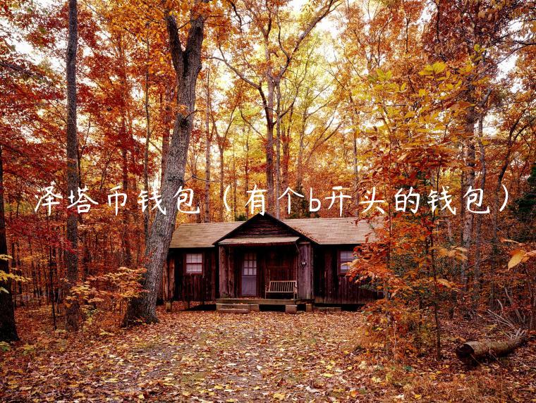 泽塔币钱包（有个b开头的钱包）-第1张图片-火必下载