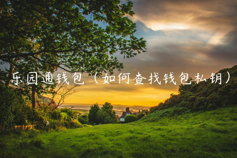 乐园通钱包（如何查找钱包私钥）-第1张图片-火必下载