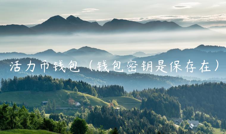 活力币钱包(钱包密钥是保存在)-第1张图片-火必下载 活力币钱包(钱包密钥是保存在)-第1张图片-火必下载