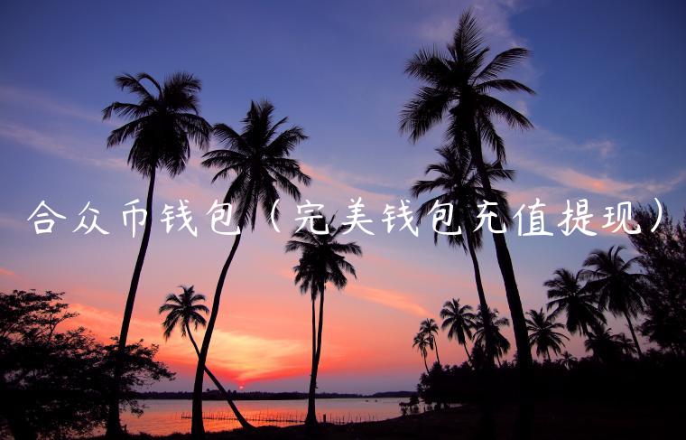 合众币钱包（完美钱包充值提现）-第1张图片-火必下载