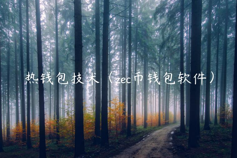 热钱包技术（zc币钱包软件）-第1张图片-火必下载