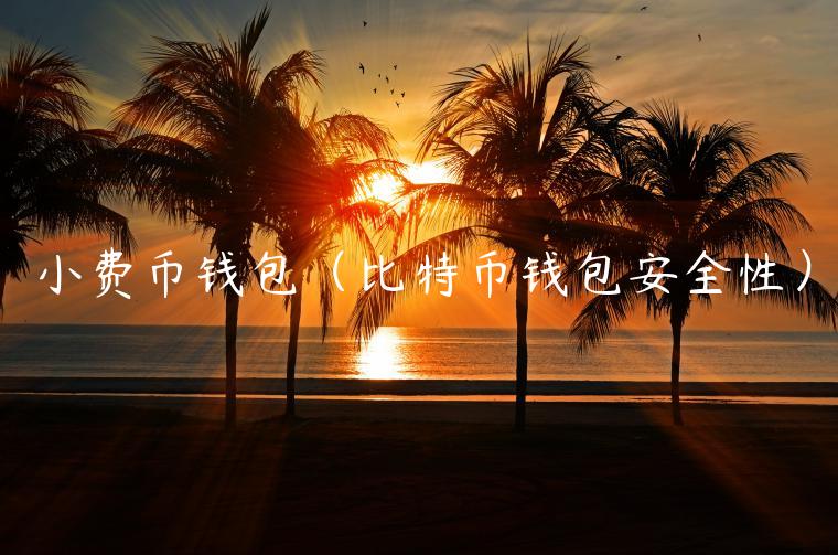 小费币钱包（比特币钱包安全性）-第1张图片-火必下载