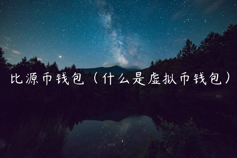 比源币钱包（什么是虚拟币钱包）-第1张图片-火必下载