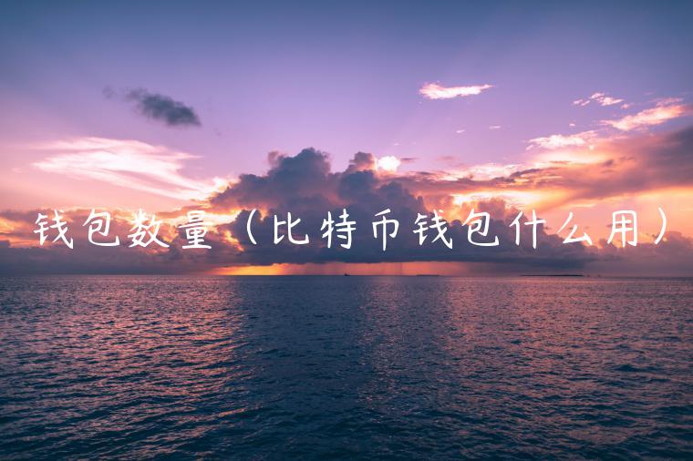 钱包数量（比特币钱包什么用）-第1张图片-火必下载