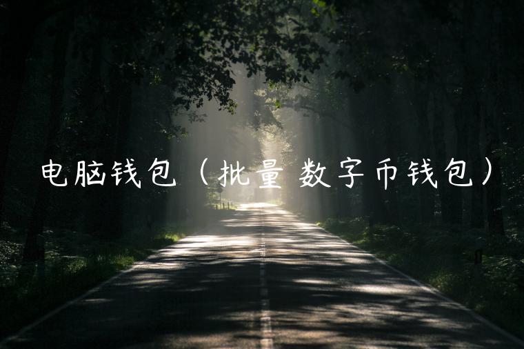 电脑钱包（批量 数字币钱包）-第1张图片-火必下载