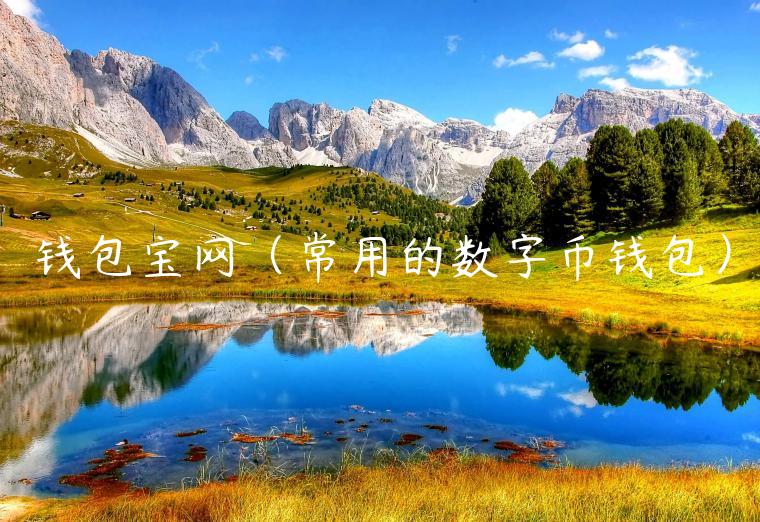 钱包宝网（常用的数字币钱包）-第1张图片-火必下载