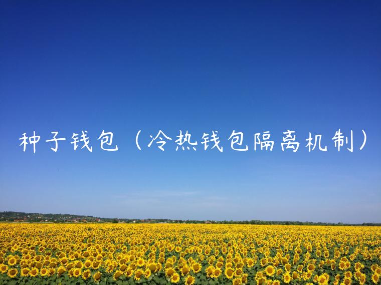 种子钱包（冷热钱包隔离机制）-第1张图片-火必下载