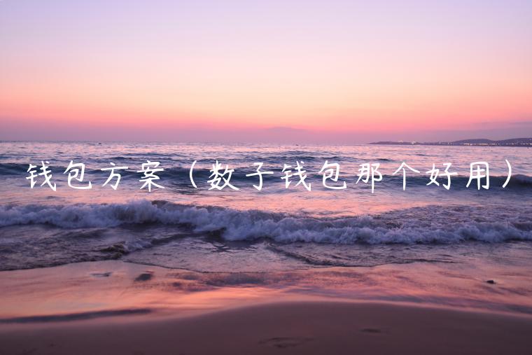 钱包方案(数子钱包那个好用)-第1张图片-火必下载 钱包方案(数子钱包那个好用)-第1张图片-火必下载