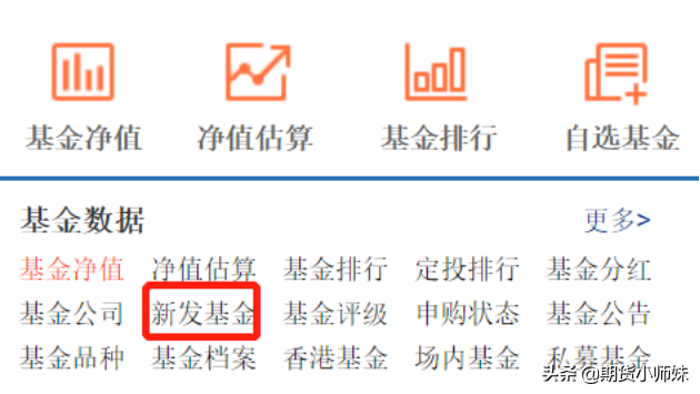 天天基金网打新基金（天天基金网打新基金下载）-第1张图片-火必下载