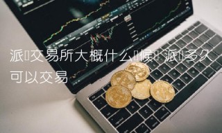 派币交易所大概什么时候开