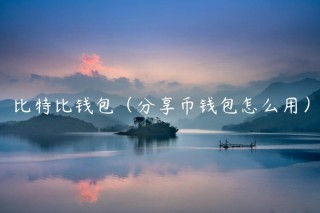 比特比钱包（分享币钱包怎么用）