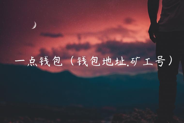一点钱包（钱包地址.矿工号）-第1张图片-火必下载