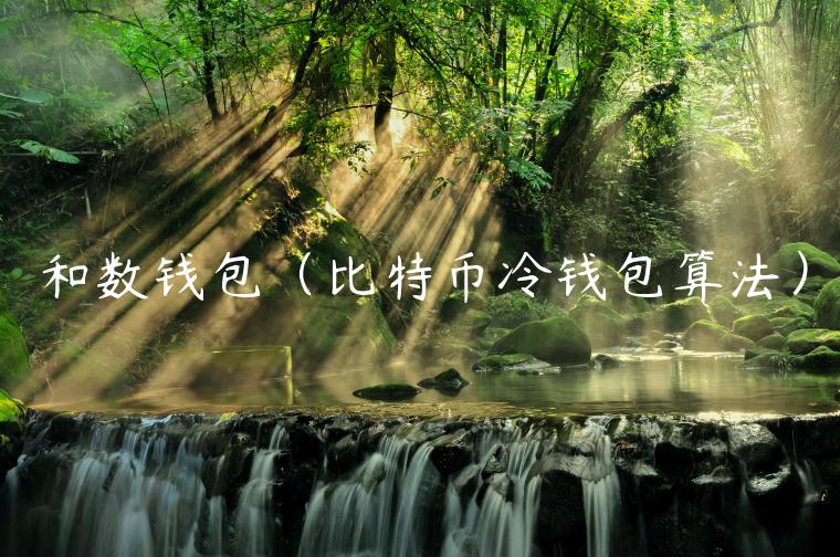 和数钱包（比特币冷钱包算法）-第1张图片-火必下载