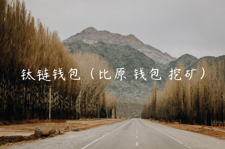 钛链钱包（比原 钱包 挖矿）-第1张图片-火必下载