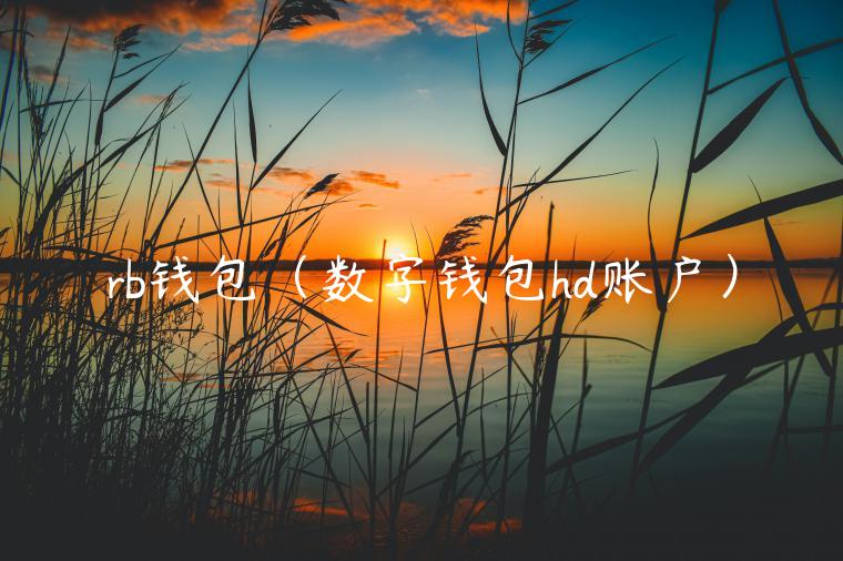 rb钱包（数字钱包hd账户）-第1张图片-火必下载