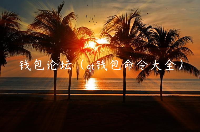 钱包论坛（qt钱包命令大全）-第1张图片-火必下载