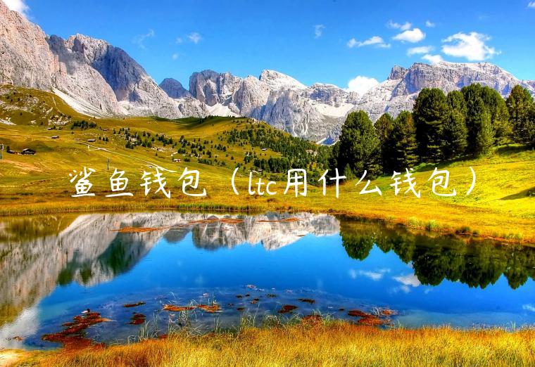 鲨鱼钱包（ltc用什么钱包）-第1张图片-火必下载