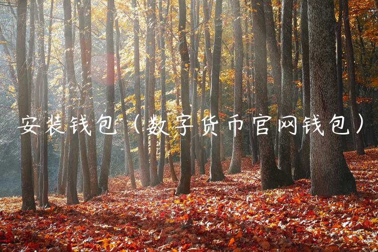 安装钱包（数字货币官网钱包）-第1张图片-火必下载