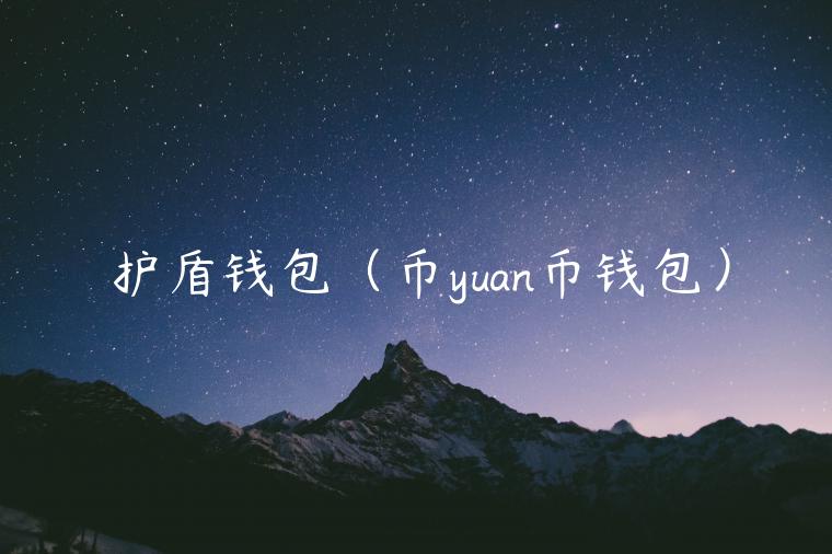 护盾钱包(币yuan币钱包)-第1张图片-火必下载 护盾钱包(币yuan币钱包)-第1张图片-火必下载