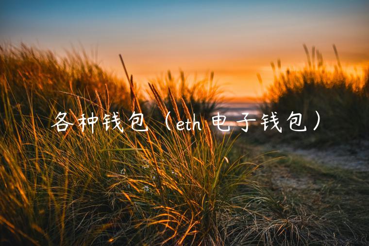 各种钱包（th 电子钱包）-第1张图片-火必下载