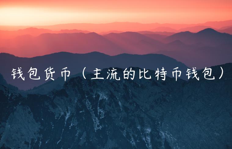 钱包货币（主流的比特币钱包）-第1张图片-火必下载